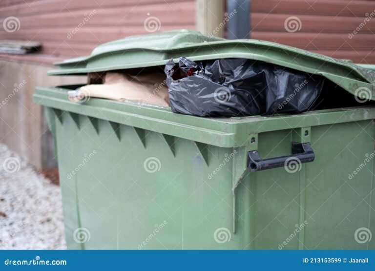 Comment choisir une entreprise pour l'évacuation de vos déchets verts 5 poubelle pleine de dechets verts