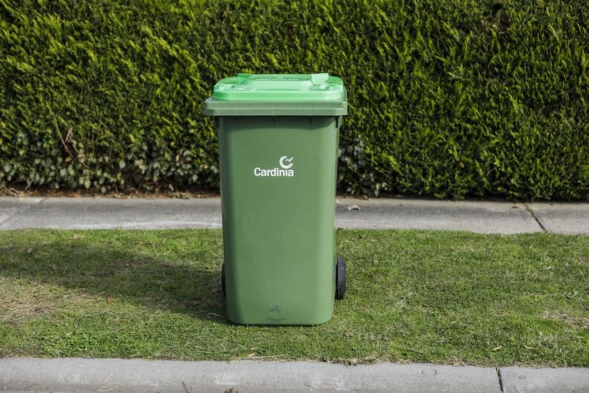 Comment organiser efficacement l’évacuation des déchets verts chez soi