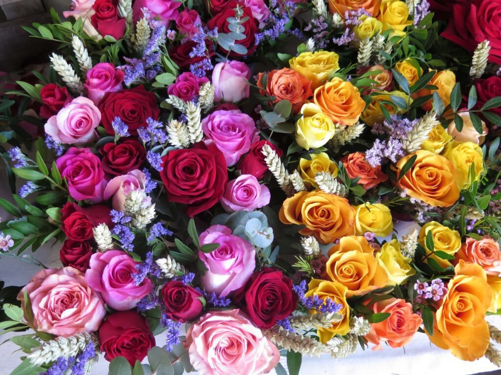 Quel est le code couleur des roses et leur signification