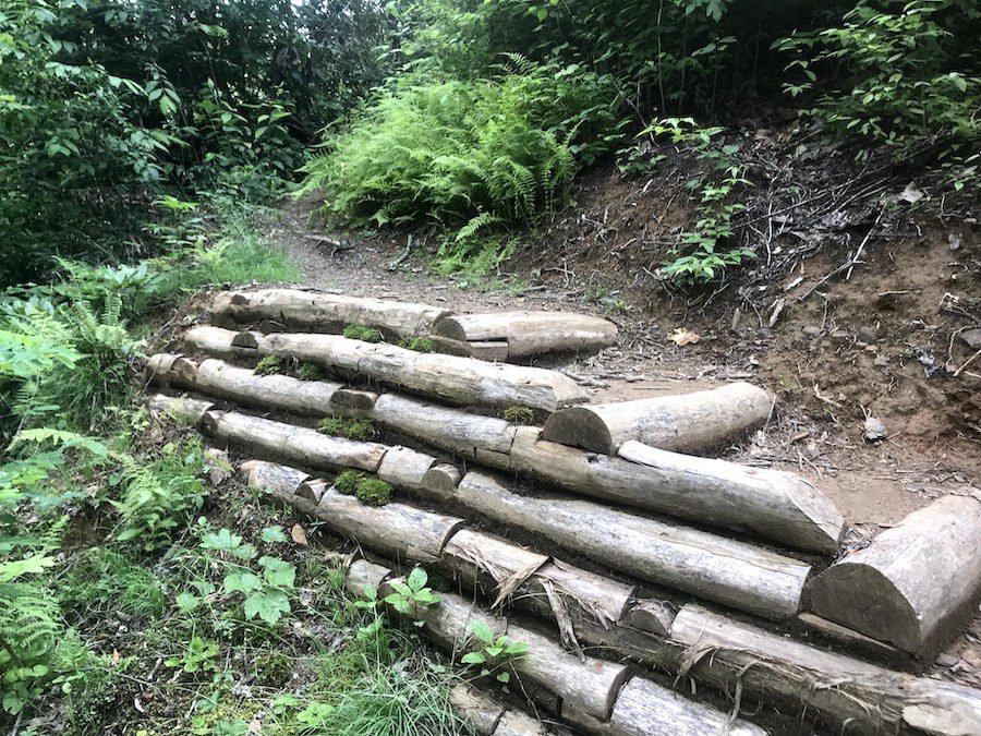 Comment aménager un talus avec du bois de manière esthétique et durable 4 Comment aménager un talus avec du bois de manière esthétique et durable