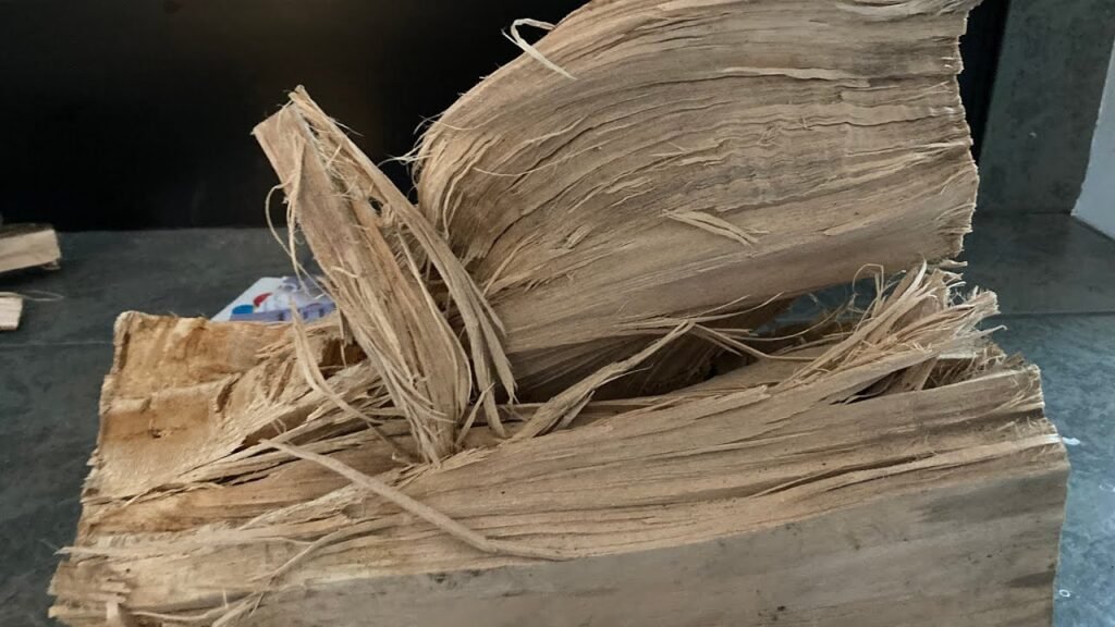 Pourquoi choisir le tilleul comme bois de chauffage 6 Pourquoi choisir le tilleul comme bois de chauffage