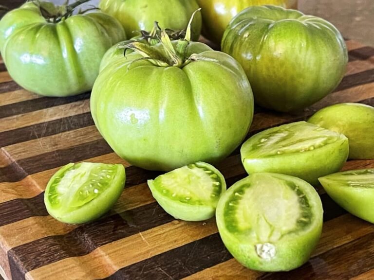 Que peut-on réaliser avec des tomates vertes en cuisine 7 tomates vertes transformees en plat savoureux