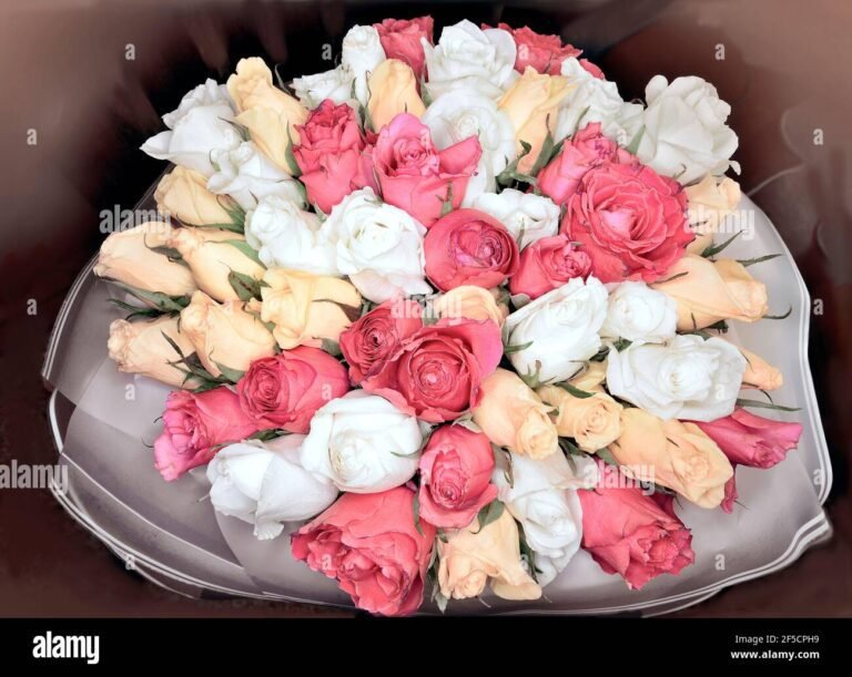 un bouquet de roses colorees epanouies