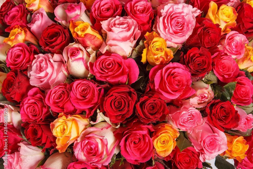 Quel est la signification du nombre de roses offertes