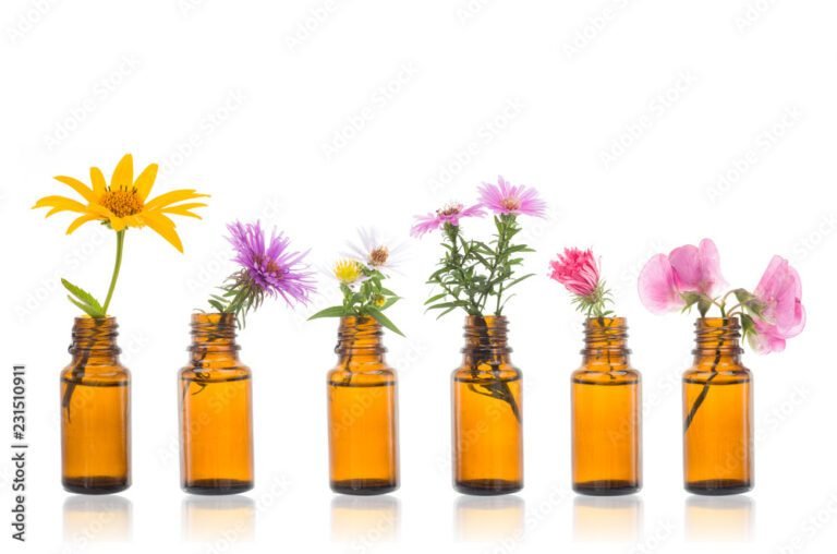 Qu'est-ce que les fleurs de Bach et comment agissent-elles sur vous 41 un flacon de fleurs de bach en nature