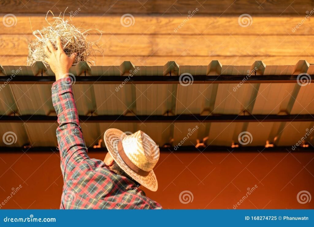 Comment enlever un nid de guêpe dans un mur en pierre