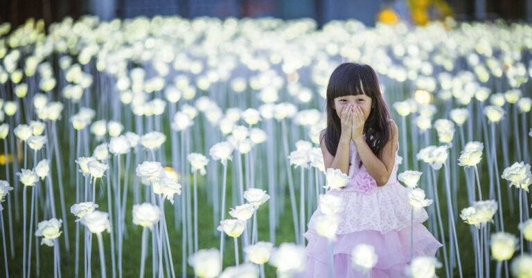 Comment créer un gazon fleuri qui ne nécessite pas de tonte 40 un jardin fleuri en pleine lumiere