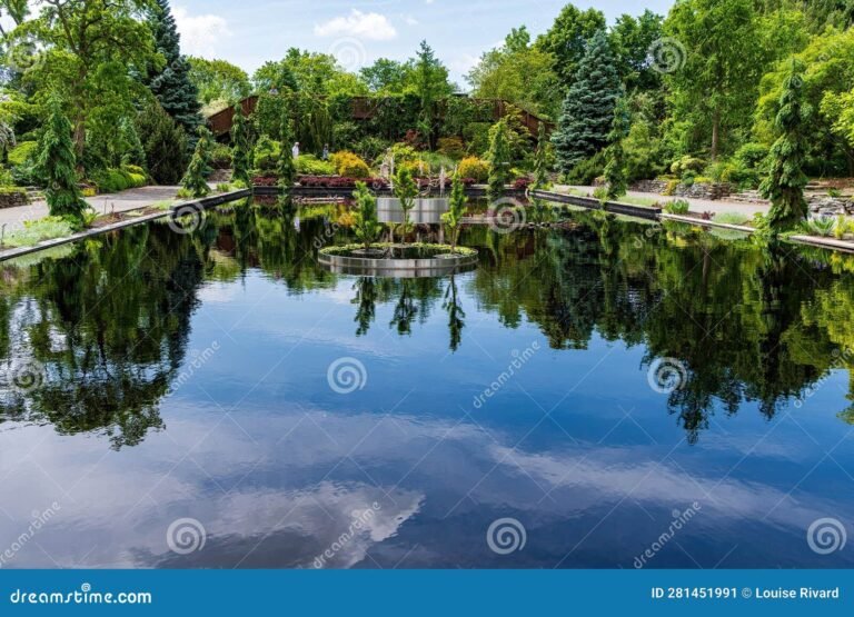 Quel est le concept du jardin sur l'eau et comment le créer 8 un jardin flottant sur un lac paisible