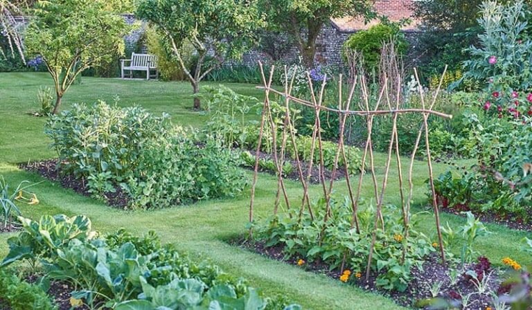 Comment faire son jardin potager : conseils et étapes clés 19 un jardin potager bien entretenu