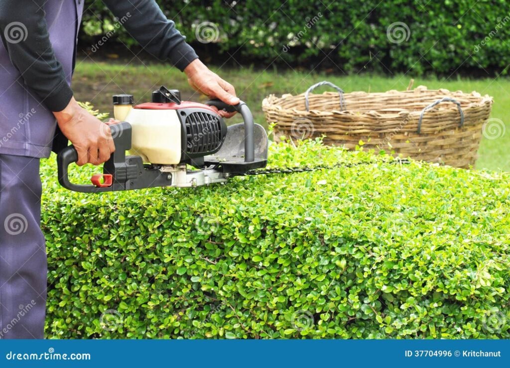 Quelle entreprise peut s’occuper de la taille de vos haies