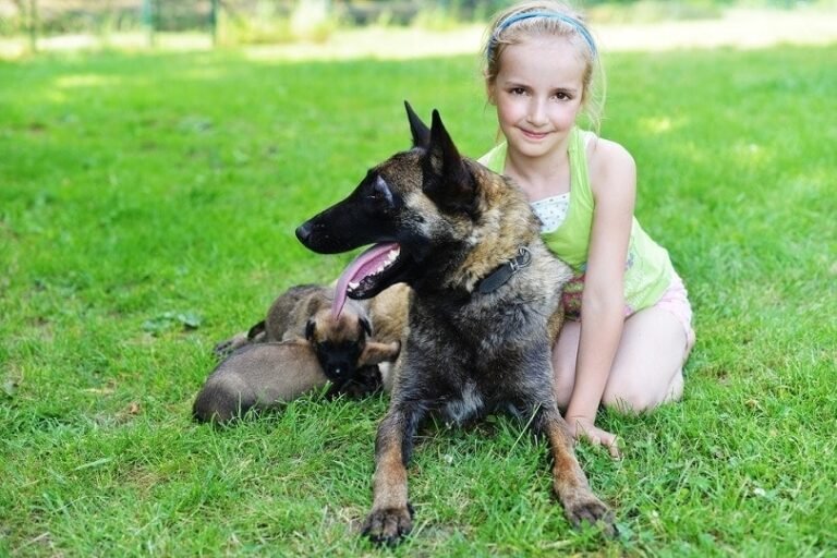 un malinois jouant avec des enfants