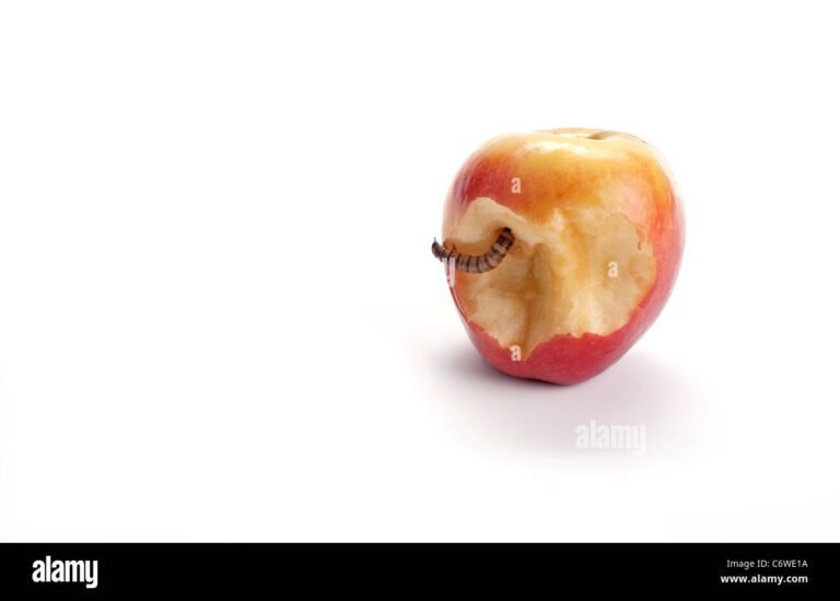 un ver rampant sur une pomme
