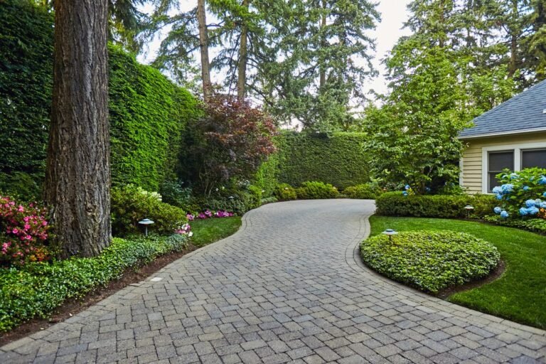 Où acheter une haie déjà haute à prix abordable 8 une haie dense et verdoyante en jardinerie